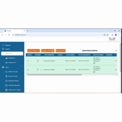 Demo Report & Confidence